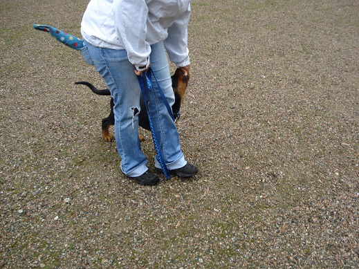 DSC05244-small.jpg