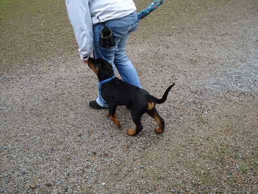 DSC05245-small.jpg